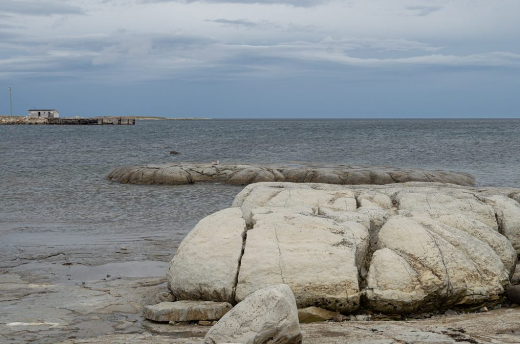 Newfoundland-flowers_cove_thrombolites1