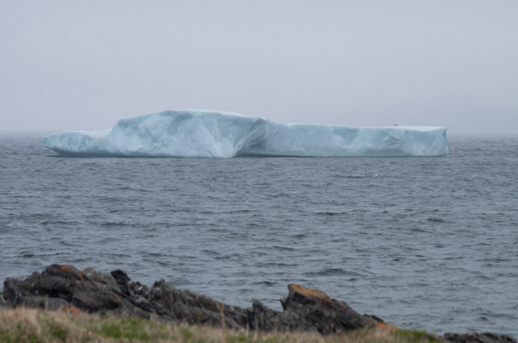 Newfoundland-iceberg2