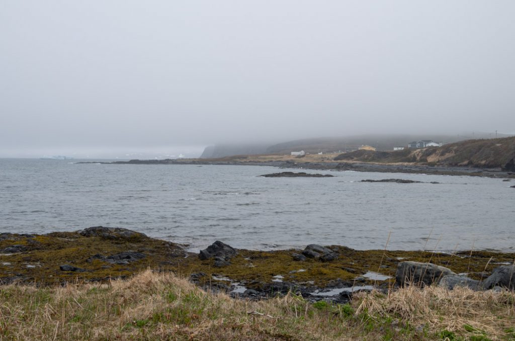 Newfoundland-iceberg_hay_cove