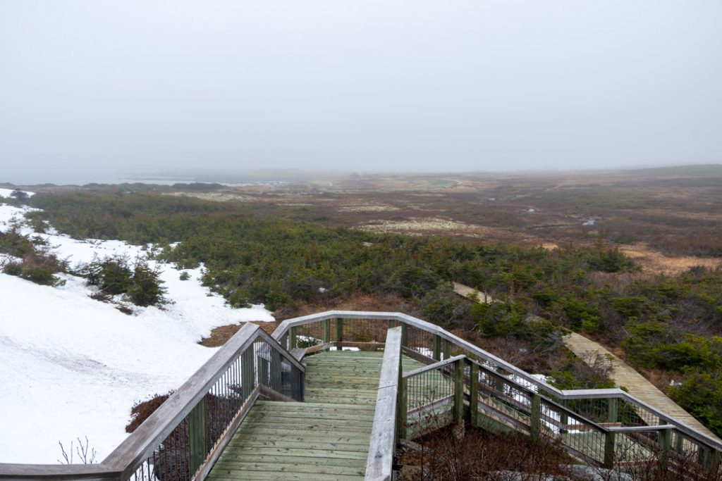 Newfoundland-lanse_aux_meadows