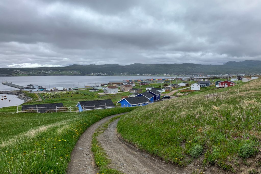 Newfoundland-rocky_harbour_town