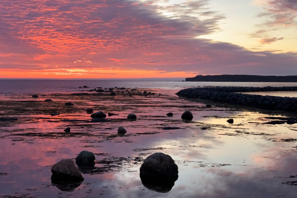 Rocky harbour sunset