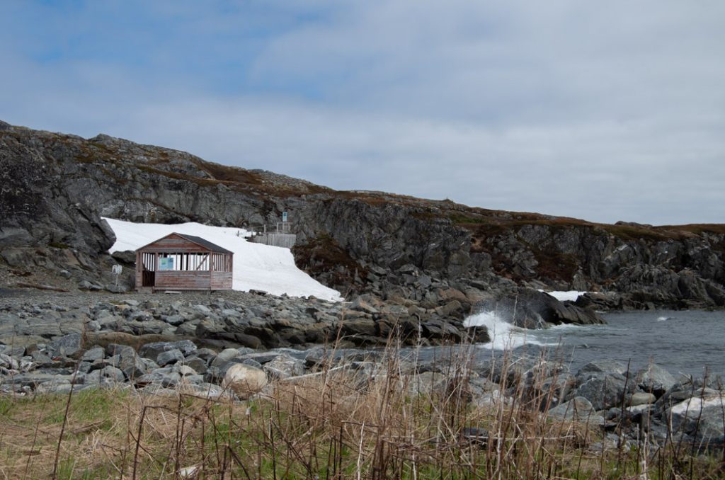 Newfoundland-saint_carols