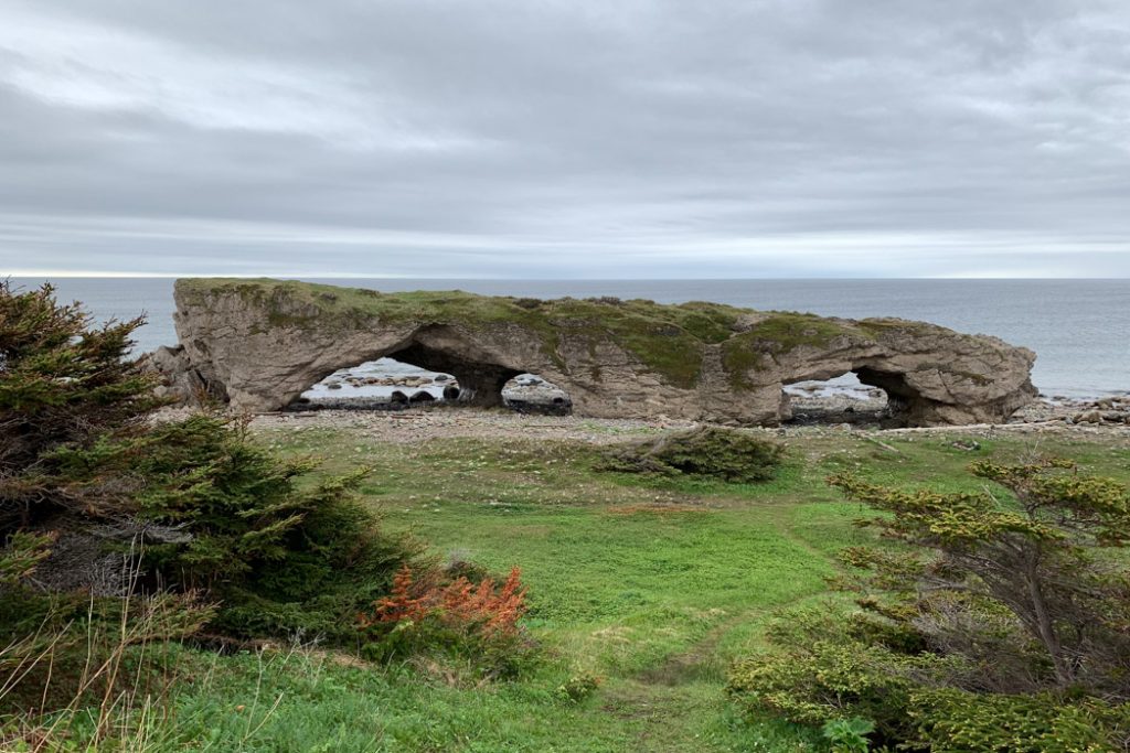 Newfoundland-the_arches