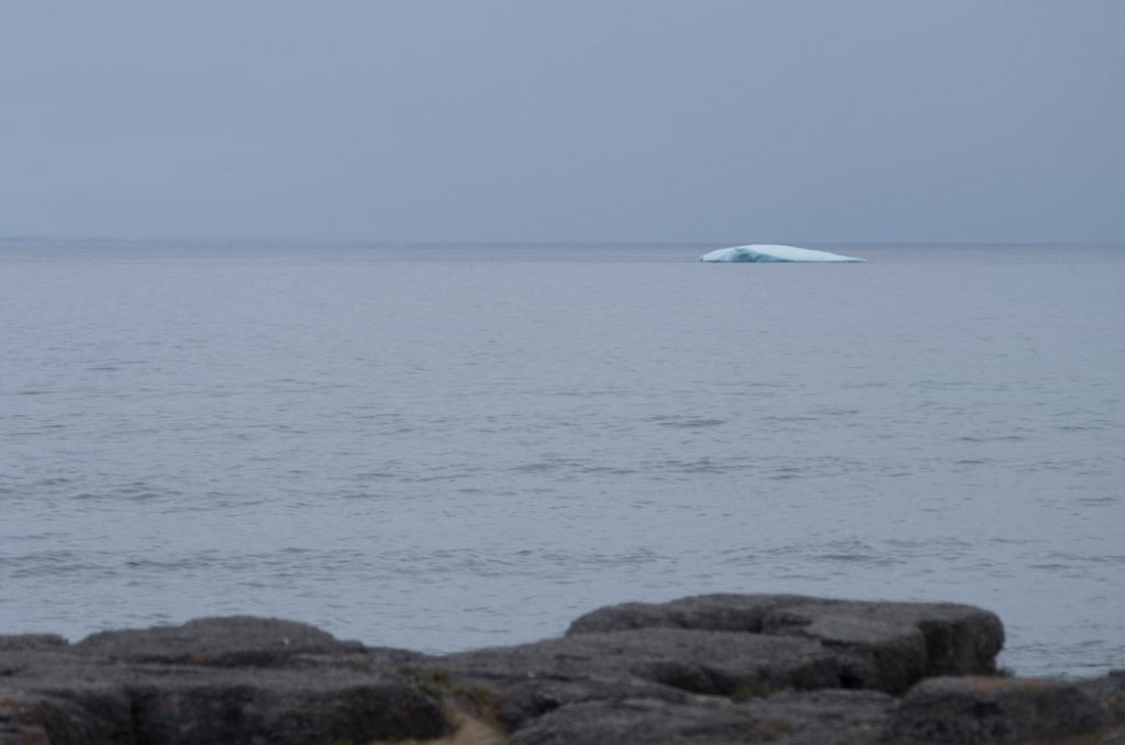 Newfoundland_iceberg_sighting