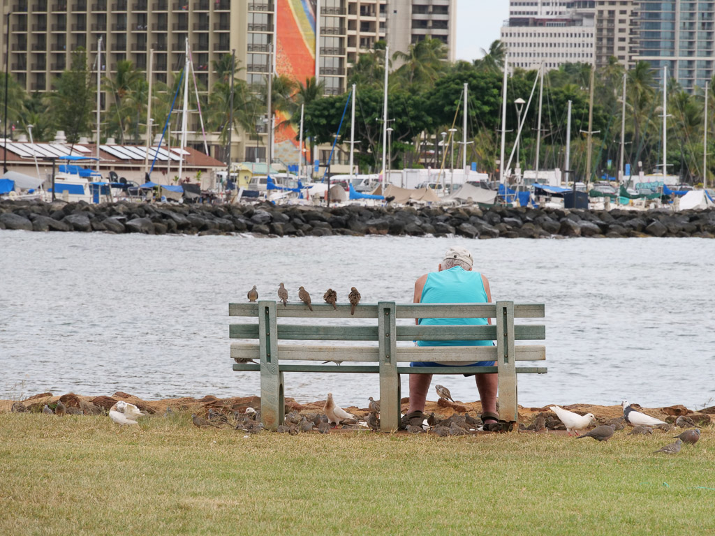 ala_moana_park_bench_with_birds