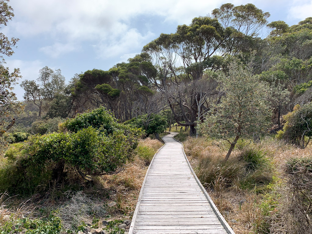 ben_boyd_national_park_boardwalk