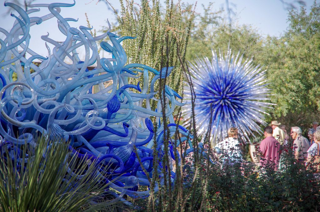 blue_chihuly_phoenix_gardens
