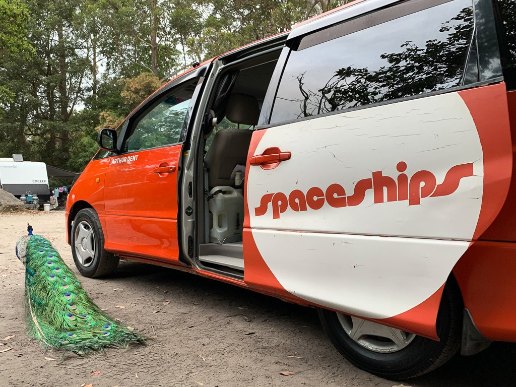 booderee_park_peacock_and_spaceship