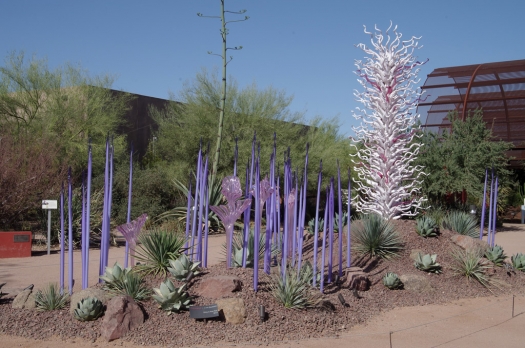 chihuly_glass_desert_botanical