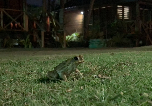 club_fiji_resort-6