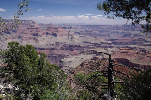 grand_canyon_usa