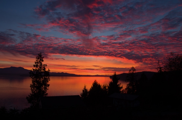 Sointula sunsets, Malcolm island sunsets
