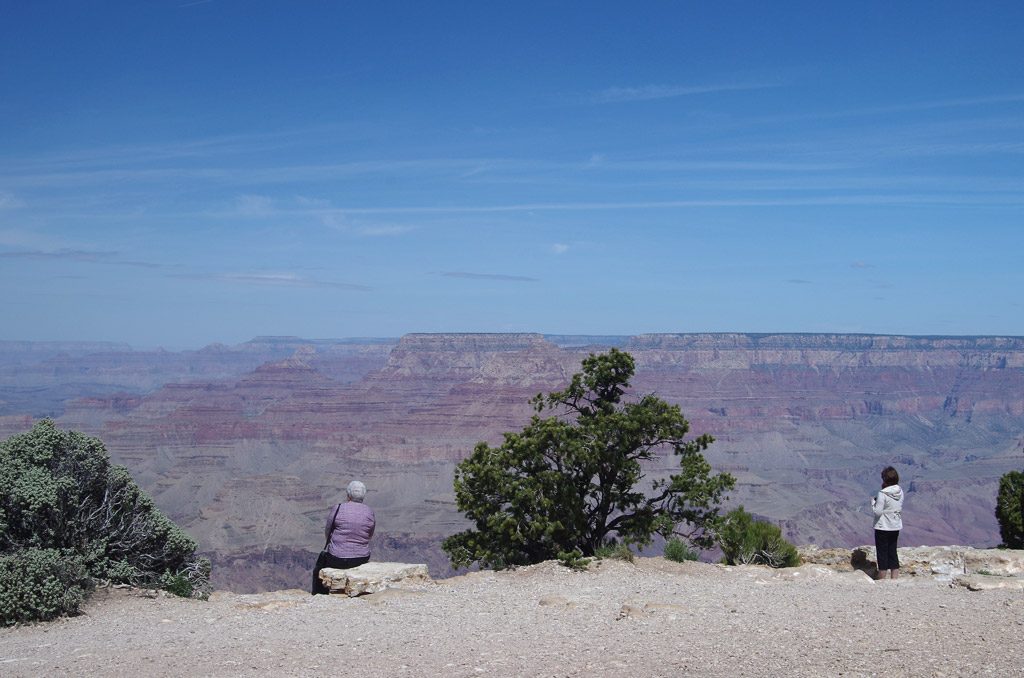 contemplation_grand_canyon