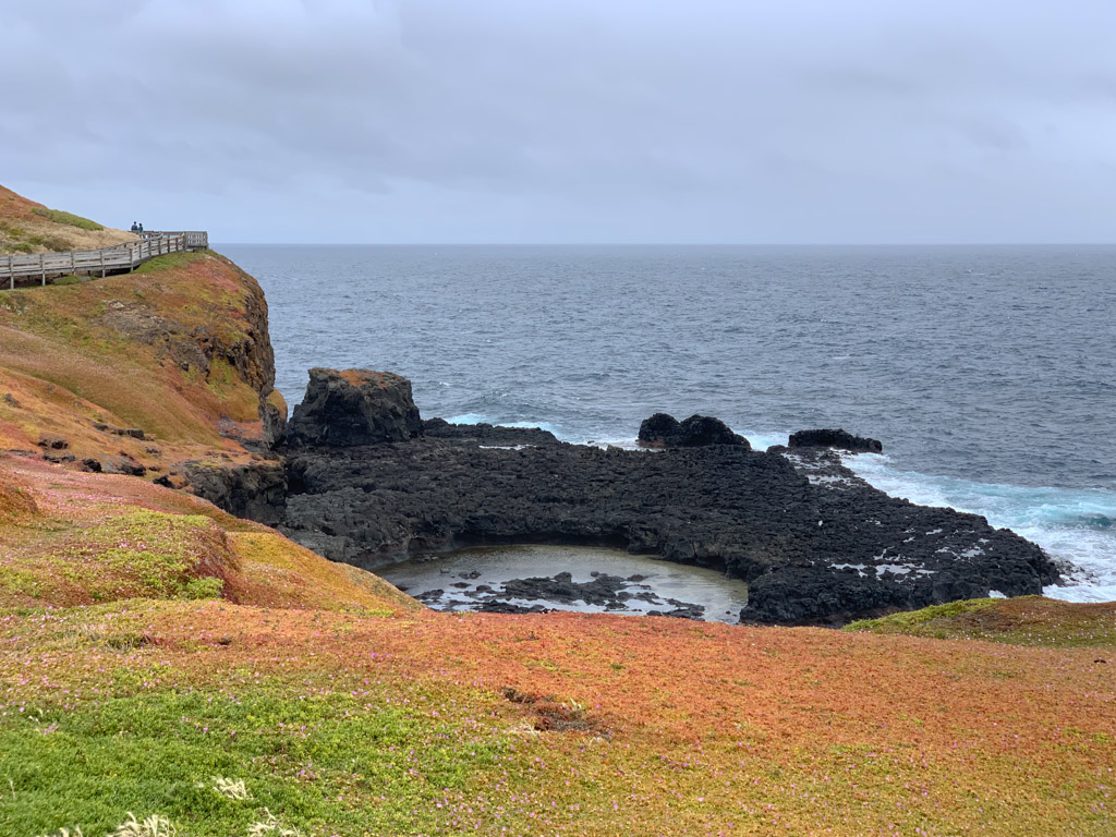 phillip_island_nobbies_centre_walkways