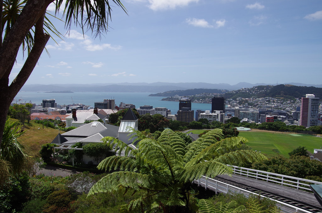 Windy Wellington, New Zealand from botanical gardens