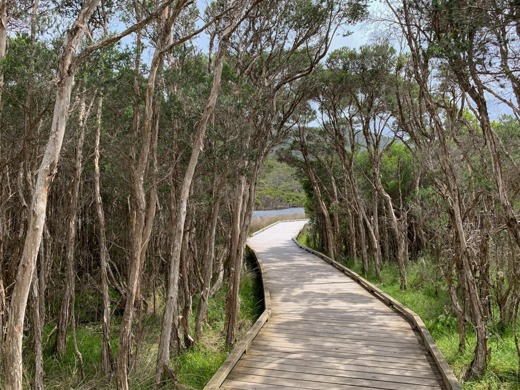 wilsons_promontory_boardwalk