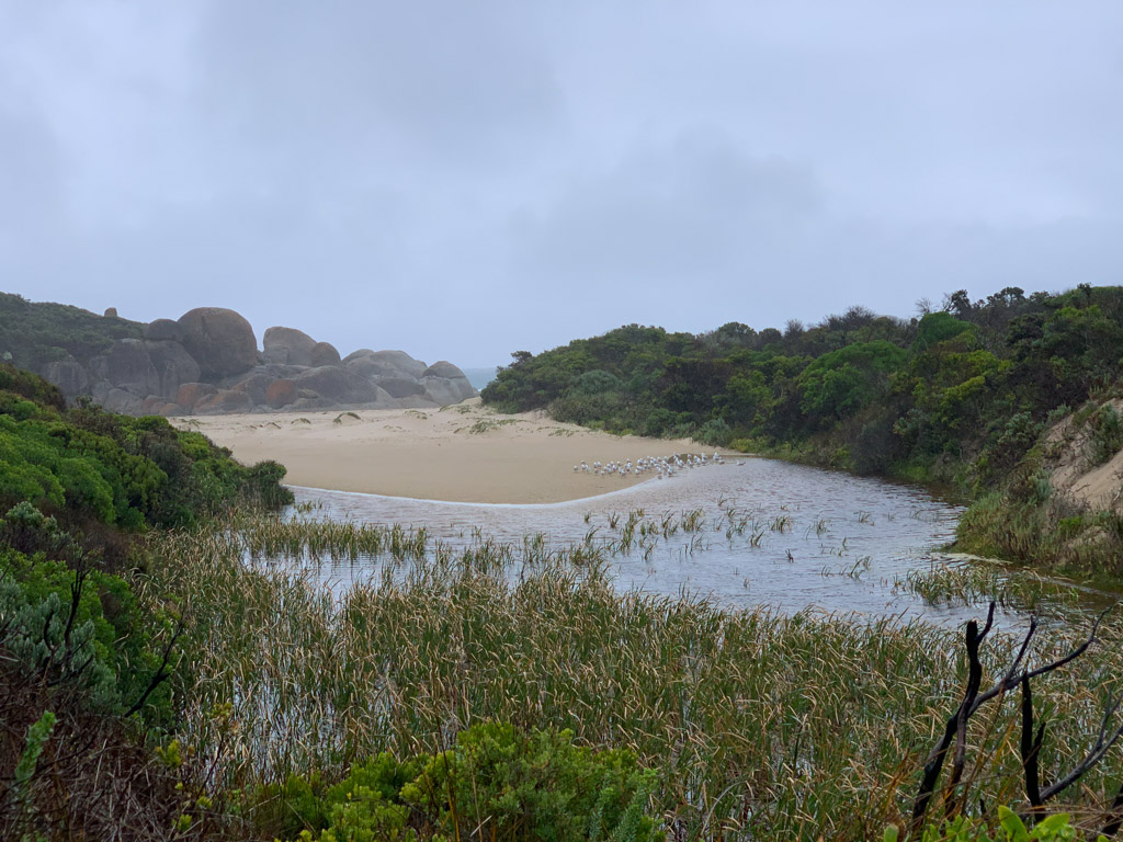 wilsons_promontory_whisky_bay_walk